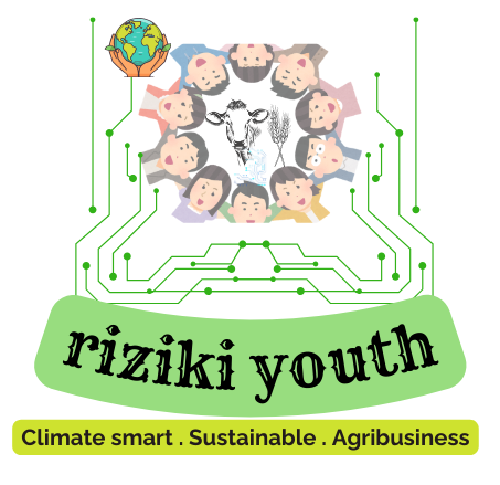 Riziki Youth connect