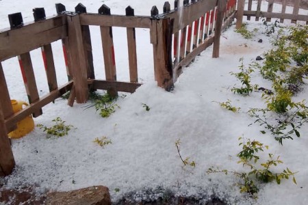 How climate change is affecting small scale tea farmers in the Rift Valley